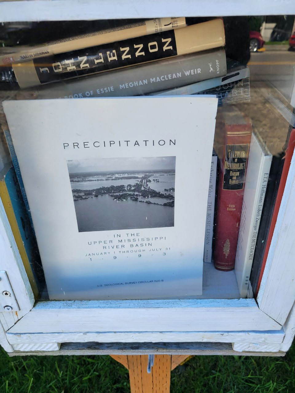 An image of a pamphlet "Precipitation in the upper Mississippi River basin, January 1 through July 31 1993."